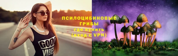 ALPHA PVP Нефтекумск