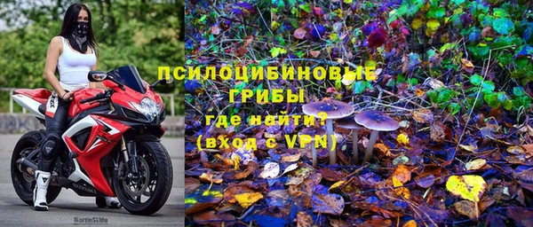 скорость Алексин